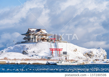 青森縣八戶市海獅繁殖地歌島的雪景 137280506