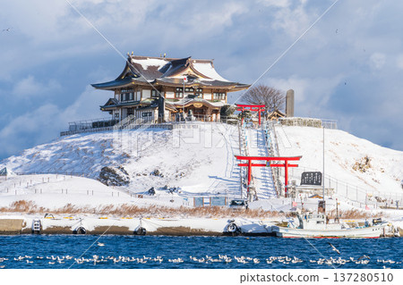 青森縣八戶市海獅繁殖地歌島的雪景 青森縣八戶市海獅繁殖地歌島的雪景 137280510