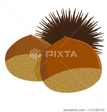 栗子和栗子的插圖（無線條） 137280720