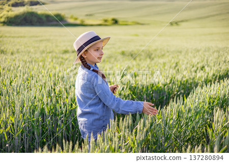 A young girl wearing a straw hat and denim shirt walks through a lush green wheat field, touching the stalks 137280894