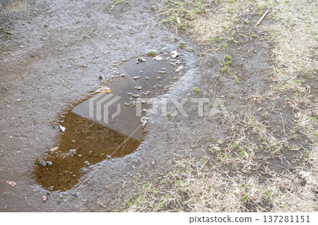 Ground after the rain, rainy season, early summer, summer, shower, passing shower, park, image 137281151