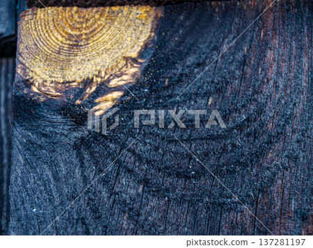 Texture of an old charred board close-up Texture of an old charred board close-up 137281197