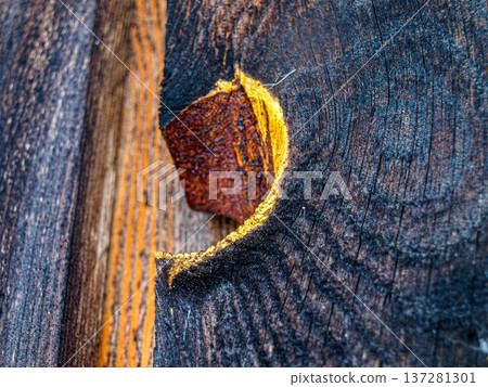 Texture of an old charred board. Texture of an old charred board. 137281301