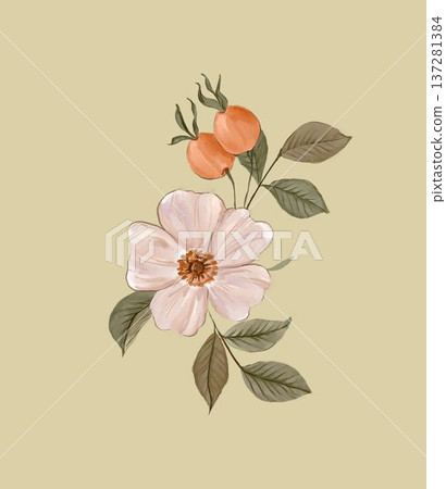 Delicate Pastel Floral Watercolor Vertical Designs With Soft Romantic Blooms And Gentle Botanical Motifs 137281384