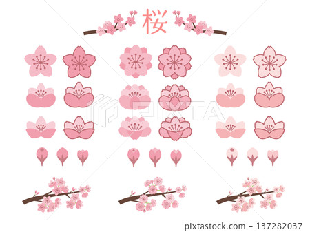 Sakura's material set Sakura's material set 137282037