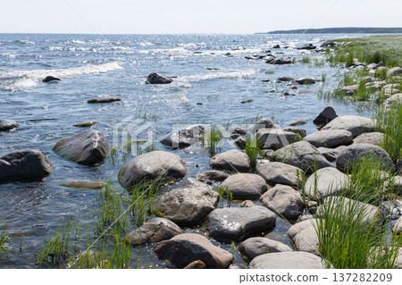 Rugged rocky shoreline of lake Ladoga with grass 137282209