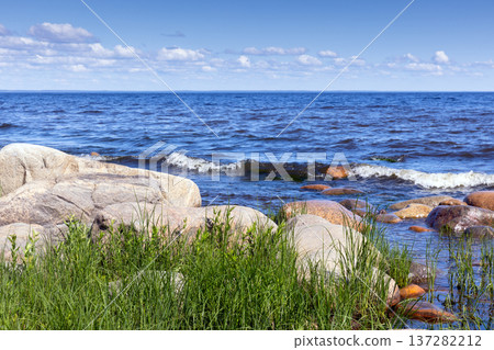 Lush green grass grows on a rocky coast as lake waves Lush green grass grows on a rocky coast as lake waves 137282212