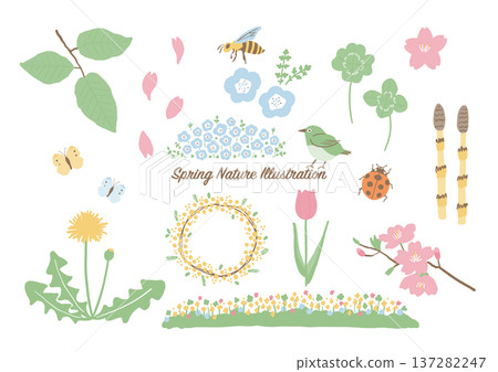 Spring Nature Illustration Set (Flowers, Birds, and Insects) Color Spring Nature Illustration Set (Flowers, Birds, and Insects) Color 137282247