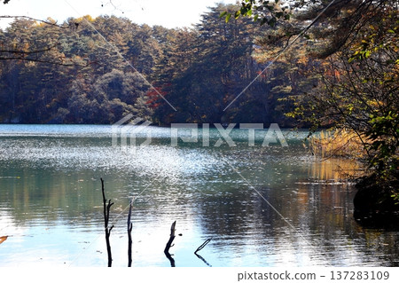 裡盤台五色沼湖、秋葉、毗沙門湖 裡盤台五色沼湖、秋葉、毗沙門湖 137283109