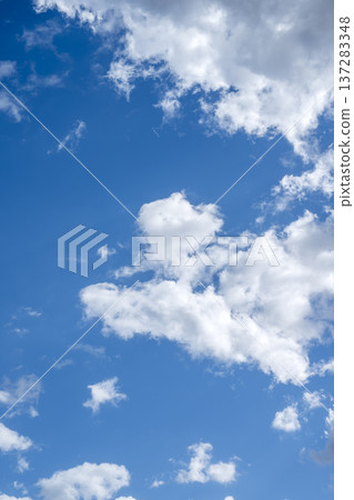 Spring sky, blue sky, clear sky, spring, March [Atsugi City, Kanagawa Prefecture] 137283348