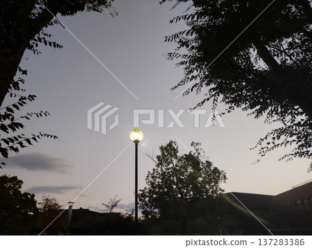 Street lights, a crescent moon, and the sunset sky Street lights, a crescent moon, and the sunset sky 137283386