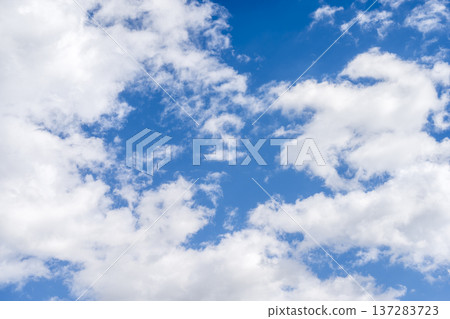Spring sky, blue sky, clear sky, spring, March [Atsugi City, Kanagawa Prefecture] 137283723