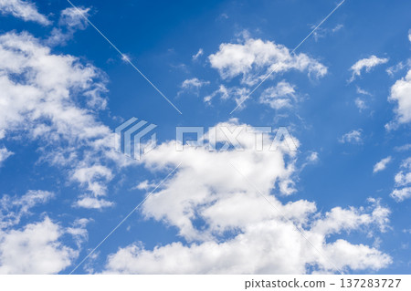 春日的天空，藍天，晴空，春天，三月 [神奈川縣厚木市] 137283727