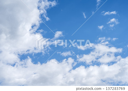 春日的天空，藍天，晴空，春天，三月 [神奈川縣厚木市] 137283769