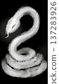 Black background: oil painting style white snake 137283926