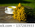 Tansy tea in a white porcelain cup. A natural remedy that stimulates bile flow and relieves spasms. 137283933