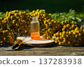 essential oil from the immortelle plant. nature selective focus 137283938