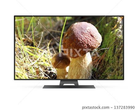 Smart tv with mushrooms in forest on screen Smart tv with mushrooms in forest on screen 137283990