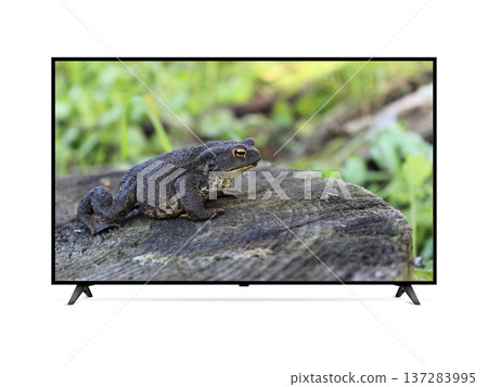 Flat screen smart tv with frog on screen Flat screen smart tv with frog on screen 137283995