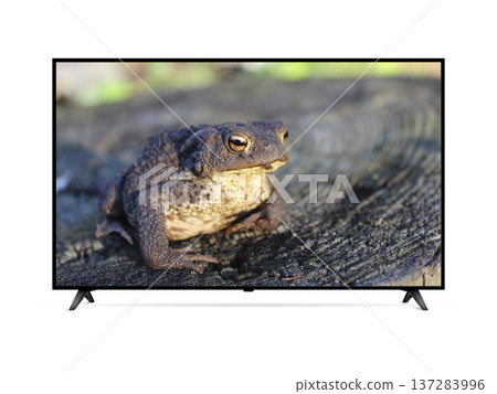 Modern Smart TV with toad on screen Modern Smart TV with toad on screen 137283996