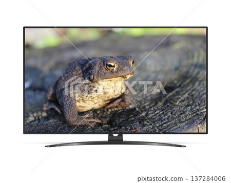 Flat screen TV with toad on screen Flat screen TV with toad on screen 137284006
