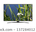 Smart tv with flower and grass near a pond or river 137284012
