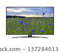 TV with cornflowers field on screen isolated on white background 137284013