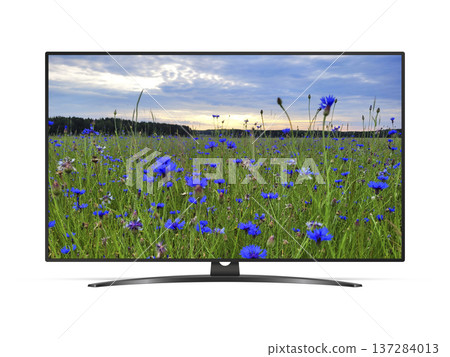 TV with cornflowers field on screen isolated on white background TV with cornflowers field on screen isolated on white background 137284013