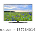 Smart tv with blue cornflowers field on screen 137284014