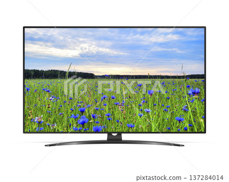 Smart tv with blue cornflowers field on screen Smart tv with blue cornflowers field on screen 137284014