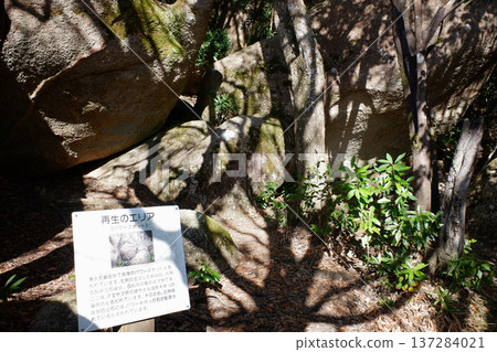 Kochi Prefecture Tojindaba Ruins and Regeneration Area Kochi Prefecture Tojindaba Ruins and Regeneration Area 137284021