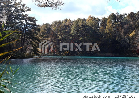 裡盤台五色沼湖、秋葉、毗沙門湖 137284103