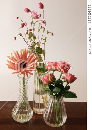 粉紅色的花朵 粉紅色的花朵 137284451