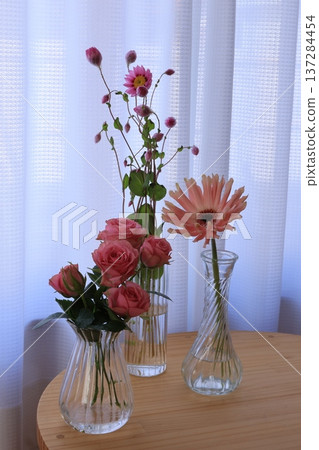 粉紅色的花朵 粉紅色的花朵 137284454