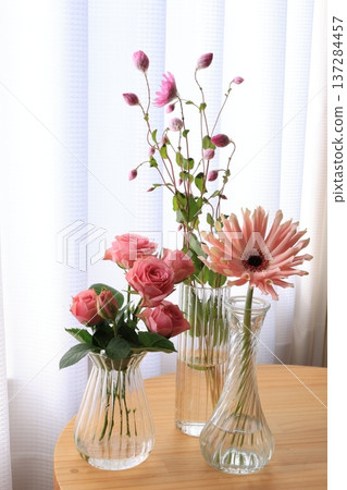 粉紅色的花朵 粉紅色的花朵 137284457