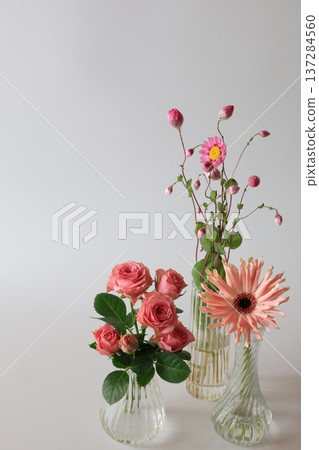 Pink flowers Pink flowers 137284560