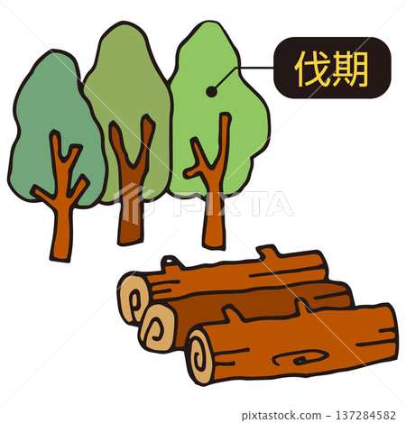 Forest trees due for felling 137284582