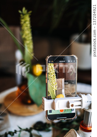 Smartphone on white tripod records video of minimalist floral arrangement with tall stalk and yellow fruit. educational social media, masterclass, botanical education, interactive content Smartphone on white tripod records video of minimalist floral arrangement with tall stalk and yellow fruit. educational social media, masterclass, botanical education, interactive content 137284921