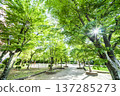 Kasukabe City Chuocho 4th Park 137285273