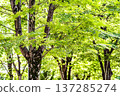 Kasukabe City Chuocho 4th Park 137285274