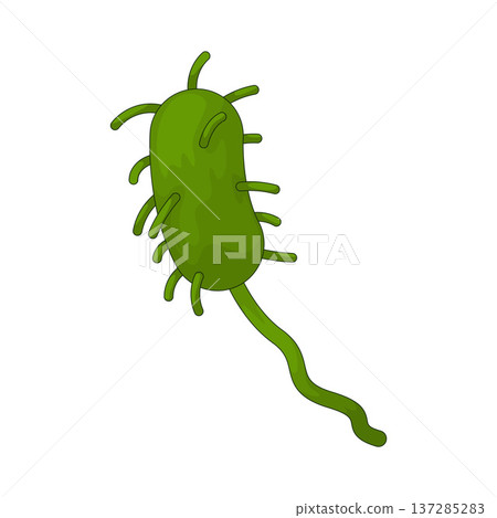 Illustration of bacteria Illustration of bacteria 137285283