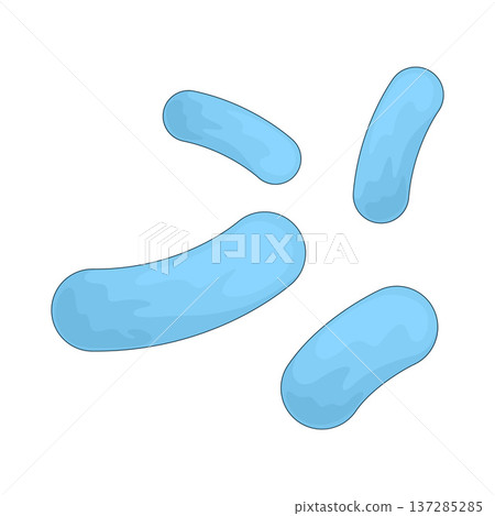 Illustration of Organism 137285285