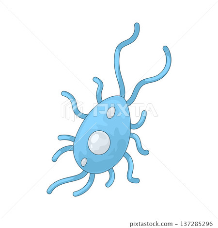 Illustration of Bacteria Illustration of Bacteria 137285296
