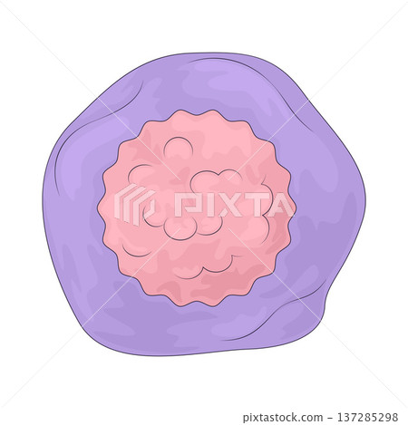 Illustration of Genome Illustration of Genome 137285298