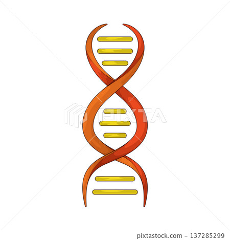 Illustration of DNA Helix Illustration of DNA Helix 137285299