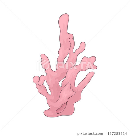 Illustration of Coral Reef 137285314