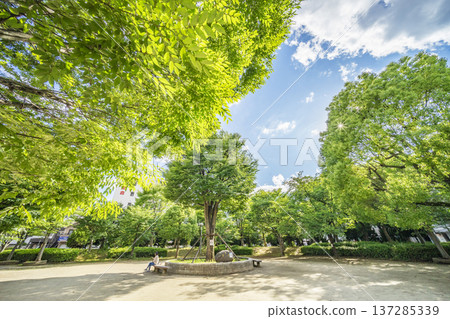 春日部市中央町第四公園 137285339