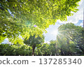 Kasukabe City Chuocho 4th Park 137285340