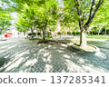 Kasukabe City Chuocho 4th Park 137285341