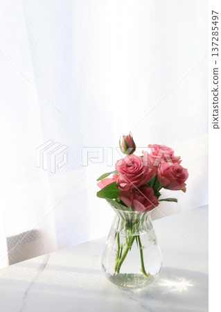 Mini roses on a windowsill Mini roses on a windowsill 137285497
